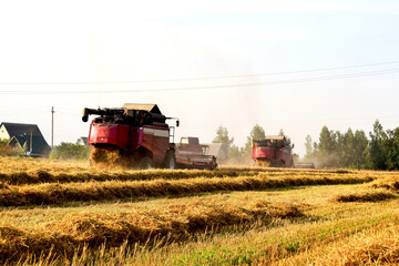 Combine harvesters harvest the wheat field. 