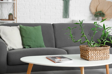 Bamboo stems on coffee table near sofa in light living room