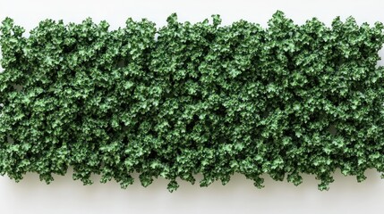 Overhead view of a dense, green, leafy wall, possibly artificial, against a plain white background.  The leaves are small and tightly packed, creating a uniform texture