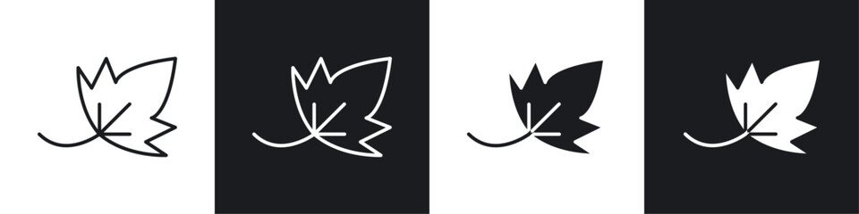Birch leaf icons graphic vectors