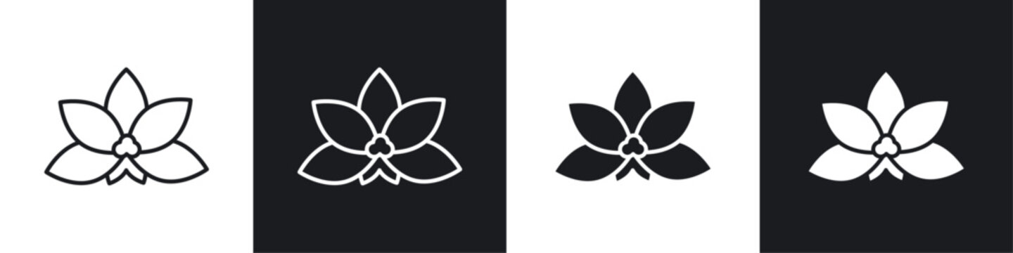 Moth orchid icons graphic vectors