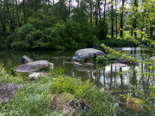 A small pond in the middle of a wooded area surrounded by trees and rocks