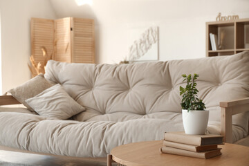 Interior of beautiful living room with comfortable sofa, coffee table, books and houseplant