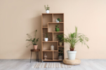 Blurred view of wooden rack with different houseplants near beige wall in living room
