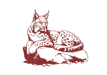  Lynx hand drawn sketch vector illustration