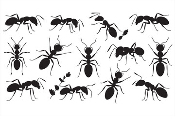 Natural Ant Life Vector Set with Branches, Leaves, and Group Dynamics