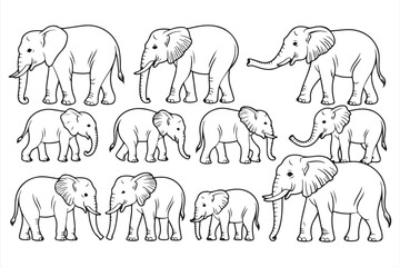 Vector Line Drawing of Elephant Family © MD.sahadat