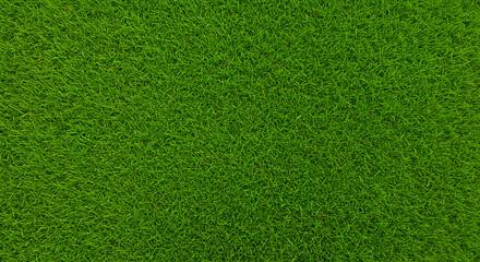 Vibrant green grass texture a lush and dense carpet of natures beauty