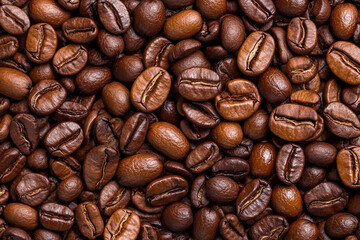 Fototapeta premium Diverse coffee beans in a close-up flat lay arrangement