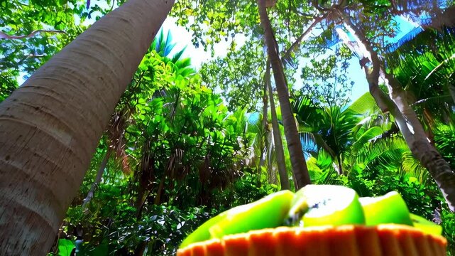 Close-up shots of a clear plate with a fruit, a cake with kilo kilo, a cake with fruit, a banana on a banana tree, and a close-up of a banana.