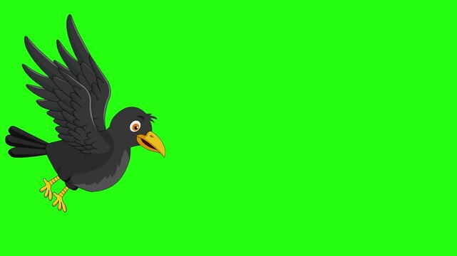 Cute Crow cartoon character flying and talking in the sky 2d animation video with green screen background