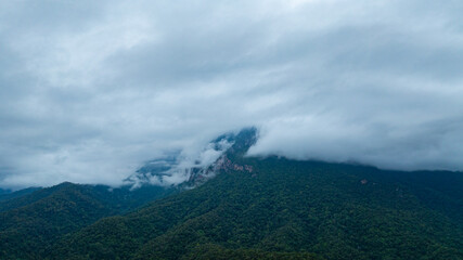 A dramatic view of a lush, forested mountain peak shrouded in thick clouds, capturing the raw beauty and mystique of nature under an overcast sky.