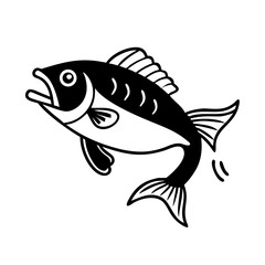 fish on a white background