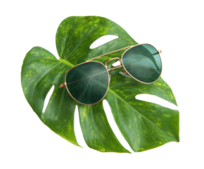 Stylish sunglasses resting on a tropical leaf for summer vibes