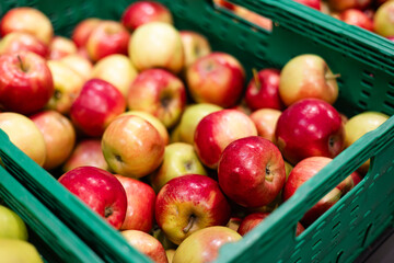 Close-up of organic farm apples in the market for sale in crates.