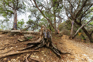 Pennybacker Bridge Overlook Trail, West Lake Hills, Texas