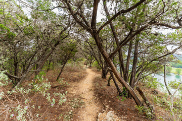 Pennybacker Bridge Overlook Trail, West Lake Hills, Texas