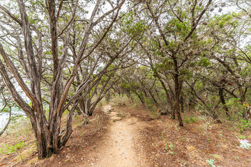 Pennybacker Bridge Overlook Trail, West Lake Hills, Texas