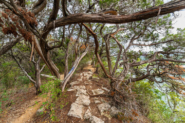Pennybacker Bridge Overlook Trail, West Lake Hills, Texas