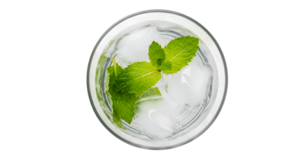 Refreshing drink with ice cubes and vibrant green mint leaves in a glass