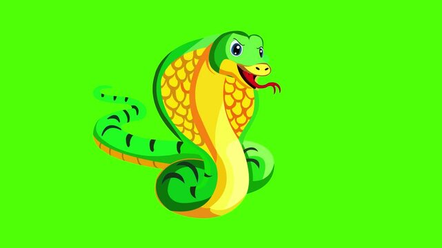 Snake cartoon character 2d animation video with green screen background