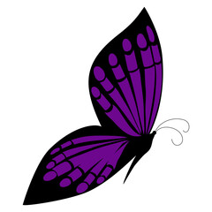 Vector moth Isolated on white background.