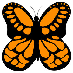 Vector moth Isolated on white background.