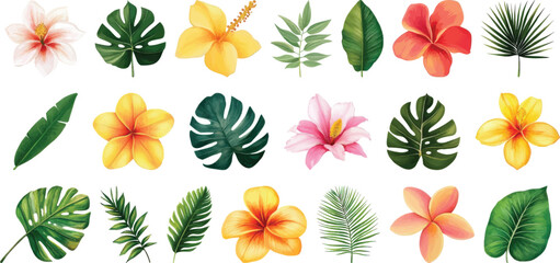 Tropical Flowers and Leaves Vector Illustration Set
