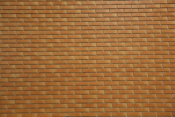 Color brick wall as background, closeup view