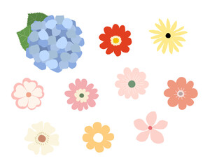 Set of Colorful Flat Design Flowers and Hydrangea. Vector design elements.