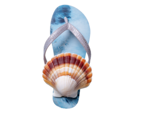 Unique beach sandal with seashell decoration for summer fun, cut out transparent
