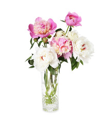 Bouquet of beautiful peonies in vase isolated on white