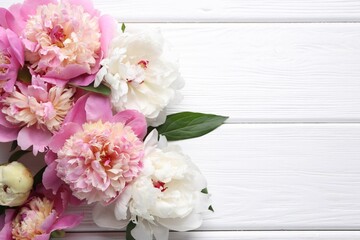 Beautiful peonies and green leaves on white wooden table, flat lay. Space for text