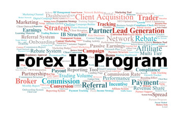 Forex IB Program Word Cloud. Key Elements for Building a Successful Broker Partnership.
