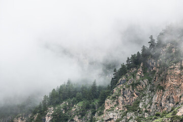 Morning fog in the mountains at sunrise. Clouds over the rocks and trees.