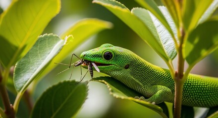 Gecko feasting on insect amid lush foliage