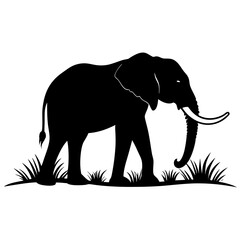 Elephant walking across the savannah on white background