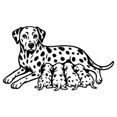 Vector image of dalmatian dog mom with spotted puppies, black and white outline