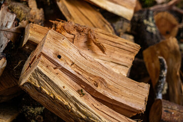 Ready firewood in a woodpile for a fire