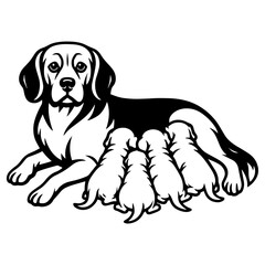 Vector illustration of a beagle mother dog lying down and nursing four puppies