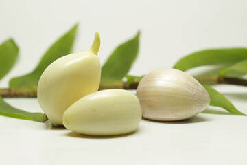 garlic white onion isolated freshness white background