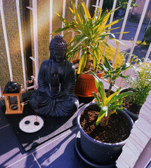 buddha