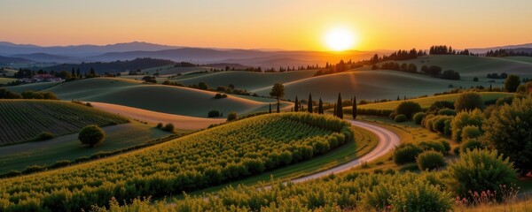 Fototapeta premium rolling farmland in tuscany style, with olive groves, vineyards, and cypress trees lining dirt roads under a warm golden sunset.