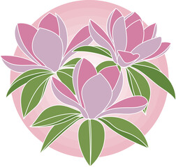 Illustration of magnolia flower with leaf on pink circle background.