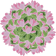 Illustration of magnolia flower with leaf on green circle background.
