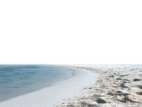 footprints on the beach - Powered by Adobe