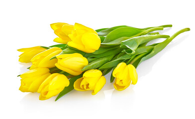 Bouquet of yellow tulip flowers isolated on white background. Natural tulips for spring holiday celebration.