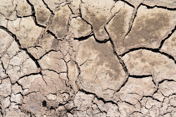Dry cracked ground at riverbed in hot summer, global warming and climate change concept,...