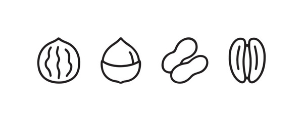 Fototapeta premium Outline icons of walnut, chestnut, peanut, and pecan.