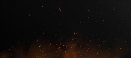 Fiery sparks and glowing embers swirling upward with soft smoke on a transparent backdrop.


